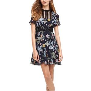 Anthropologie Black Floral Mini Dress